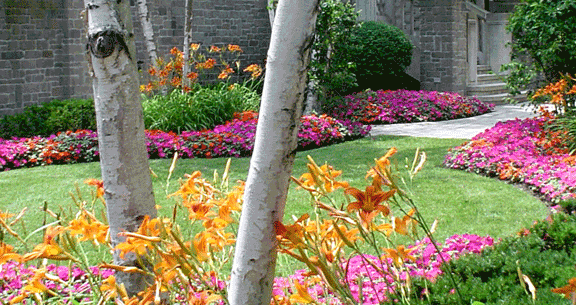 Ltd landscaping